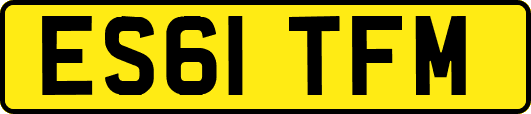 ES61TFM