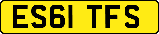 ES61TFS