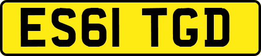 ES61TGD