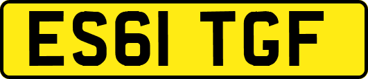 ES61TGF