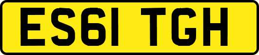 ES61TGH