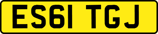 ES61TGJ