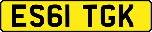 ES61TGK