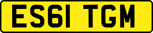ES61TGM