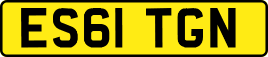ES61TGN