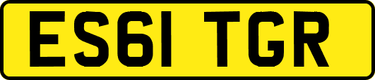 ES61TGR