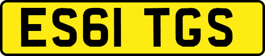 ES61TGS