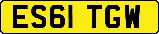 ES61TGW