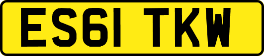 ES61TKW
