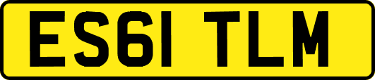 ES61TLM