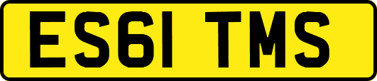 ES61TMS