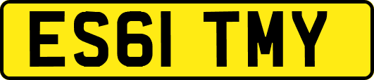 ES61TMY