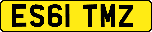 ES61TMZ