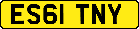 ES61TNY