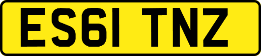 ES61TNZ