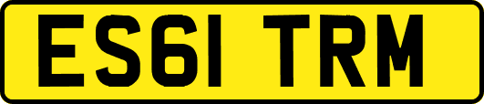 ES61TRM