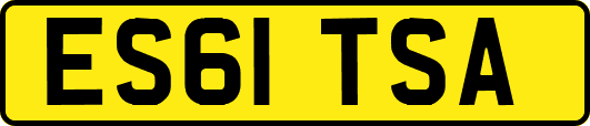 ES61TSA