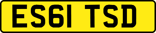 ES61TSD