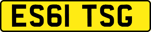 ES61TSG
