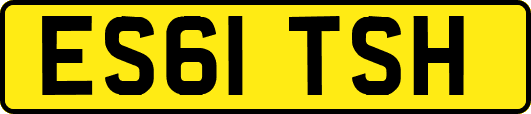 ES61TSH