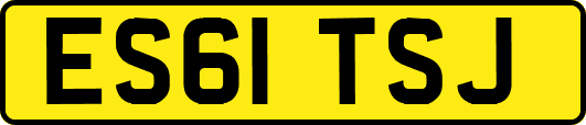 ES61TSJ