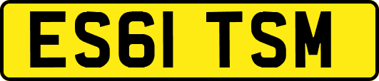 ES61TSM