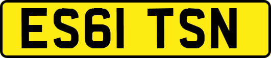 ES61TSN
