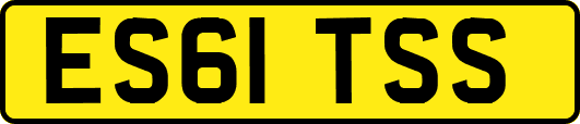 ES61TSS