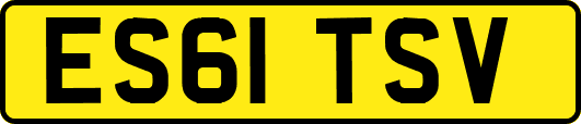 ES61TSV