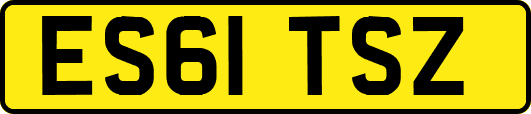 ES61TSZ