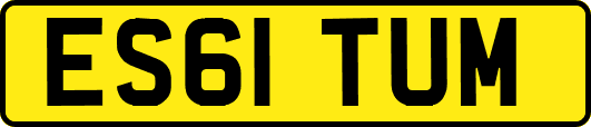 ES61TUM
