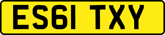 ES61TXY