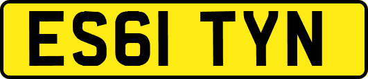ES61TYN
