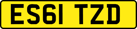ES61TZD