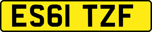 ES61TZF