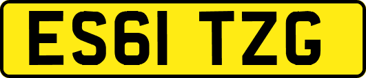 ES61TZG