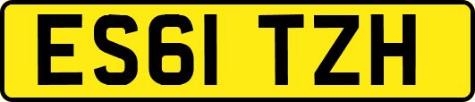 ES61TZH