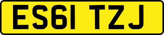 ES61TZJ