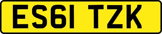 ES61TZK