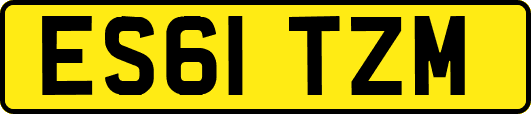 ES61TZM