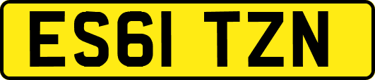ES61TZN