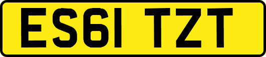 ES61TZT