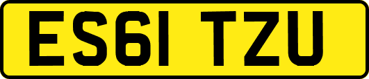 ES61TZU