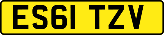 ES61TZV