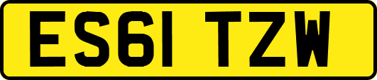 ES61TZW