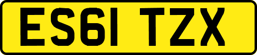 ES61TZX