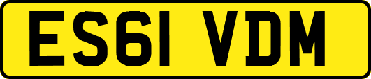 ES61VDM