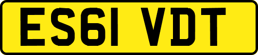 ES61VDT