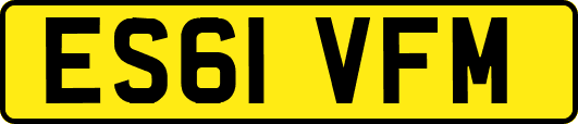 ES61VFM