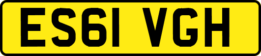 ES61VGH
